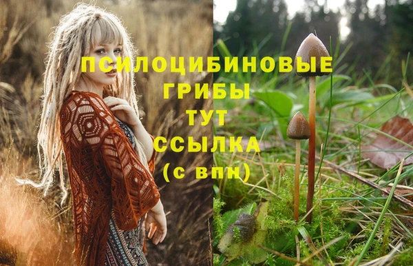 гидропоника Алексин
