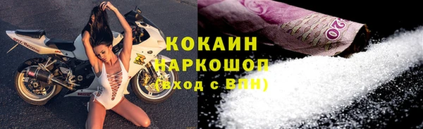 молекула духа Новозыбков