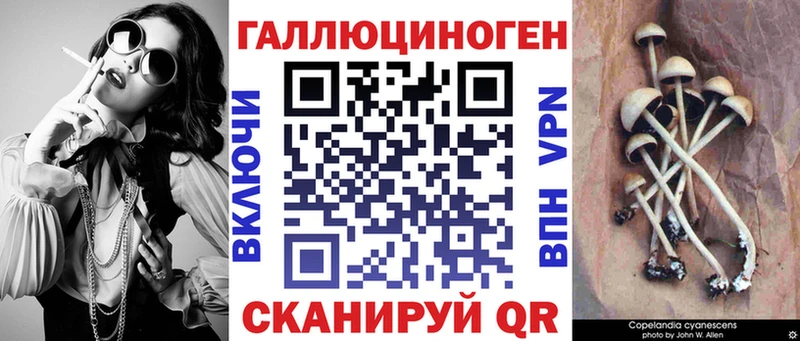 Псилоцибиновые грибы прущие грибы  Сосенский 